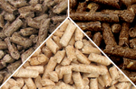 Pellet drzewny